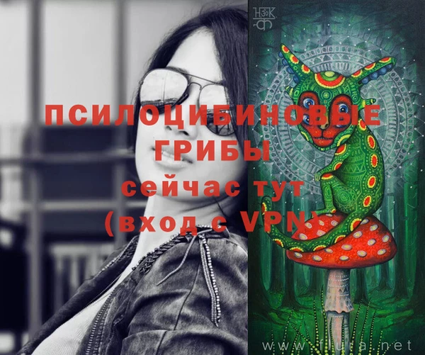 круглые Алзамай