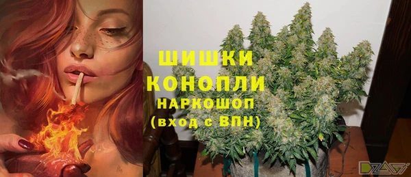 прущая мука Гвардейск